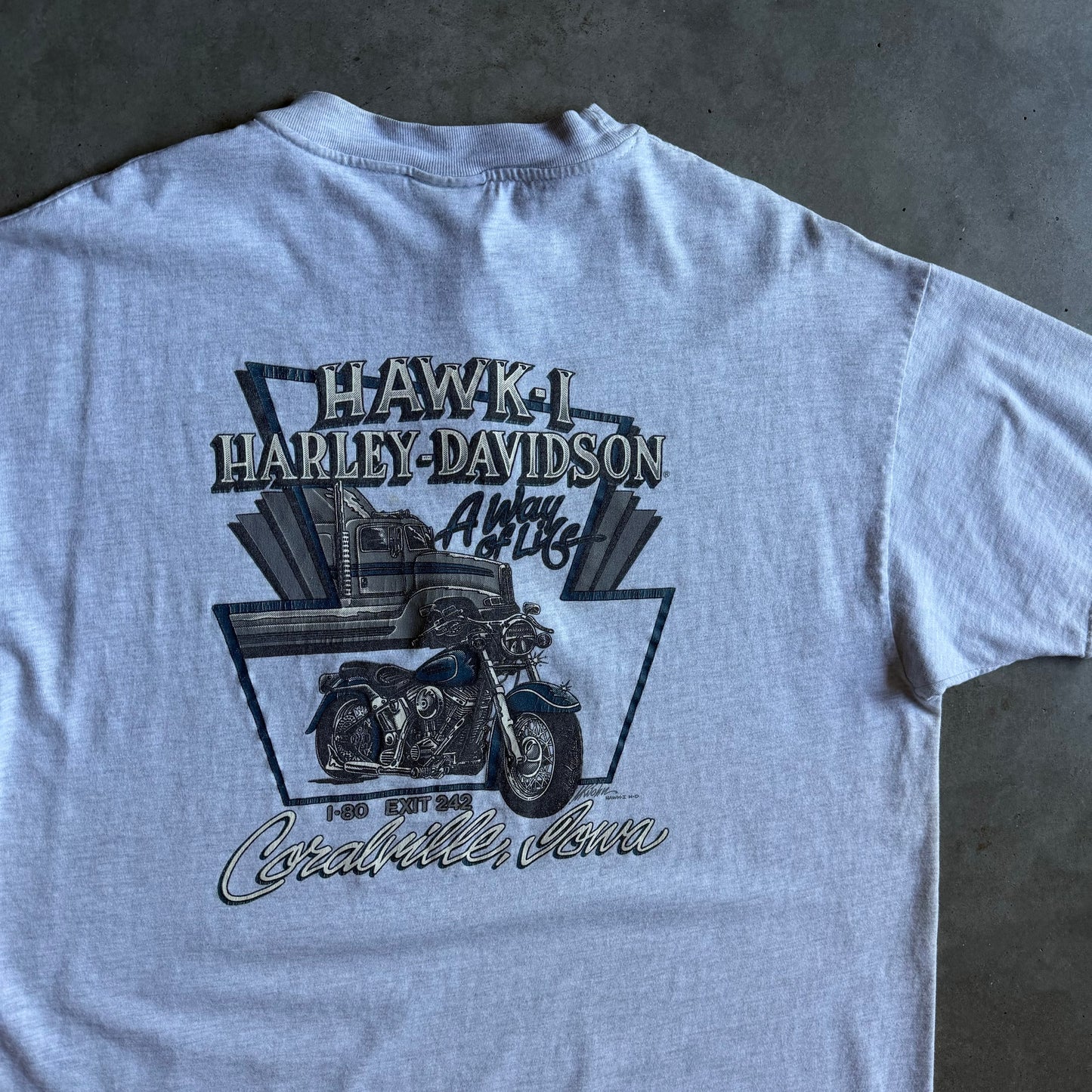 Vintage Hawk-I Harley Davidson Grey Spell-Out Tee