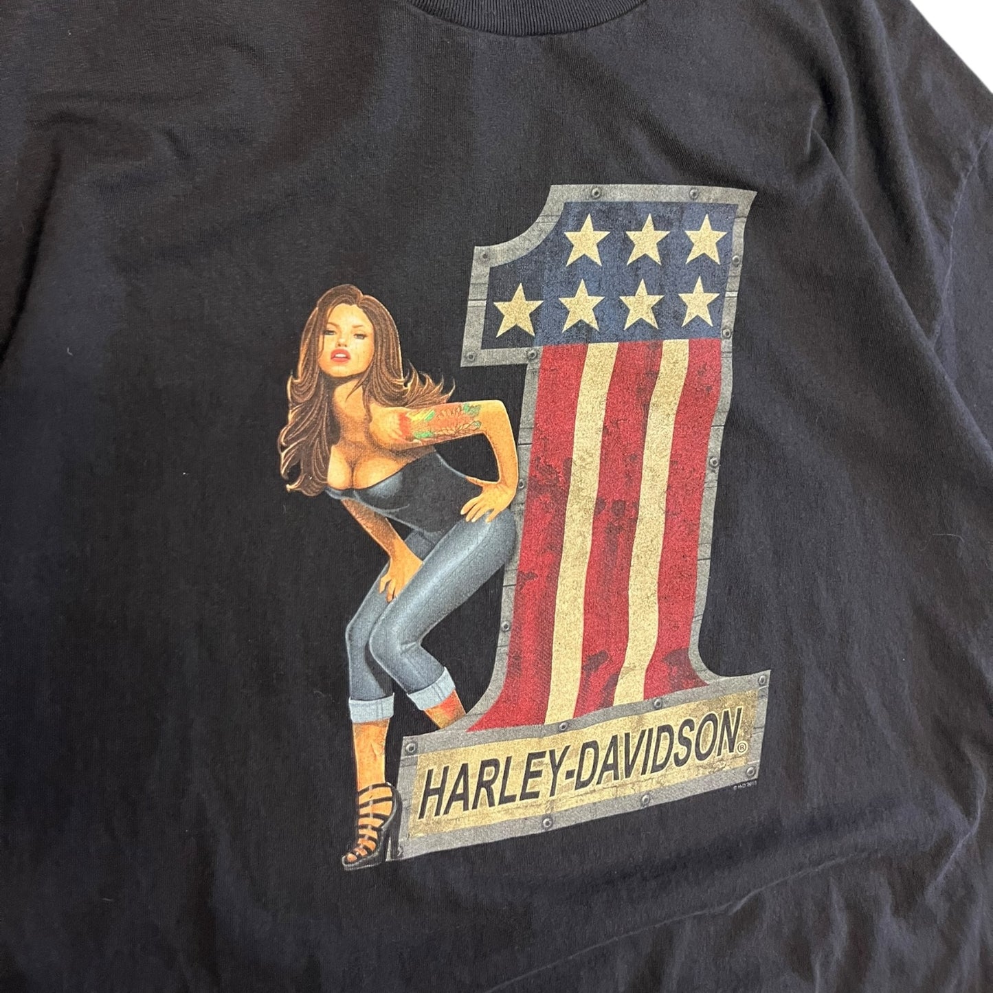 Y2K Harley Davidson Route 65 One USA Flag Tee