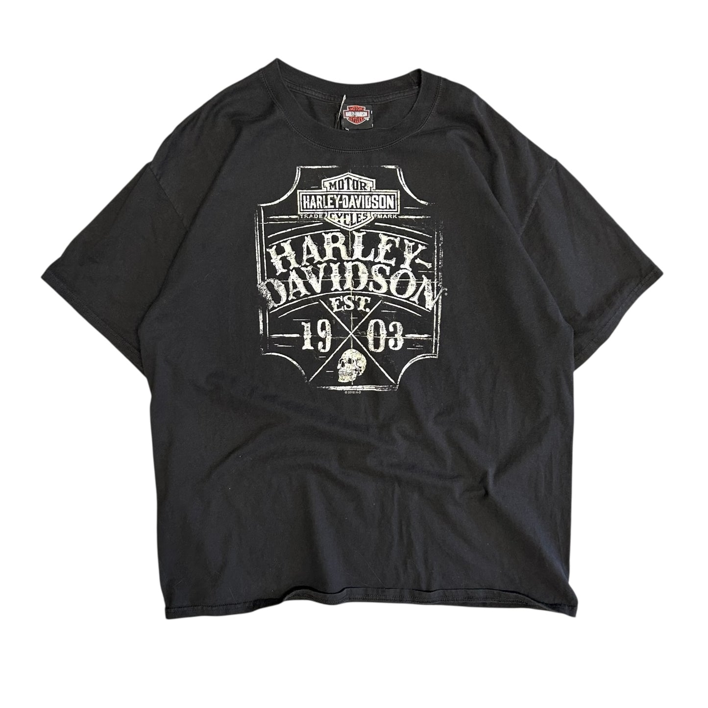 Harley Davidson Dessert Wind Tee