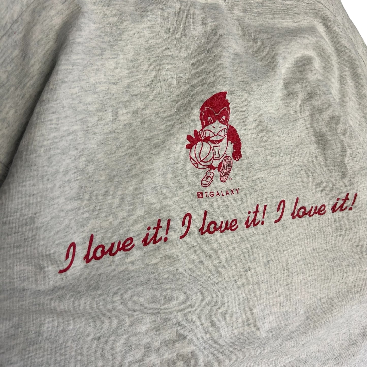 Vintage ‘93 ISU Big 4 State Champs Tee