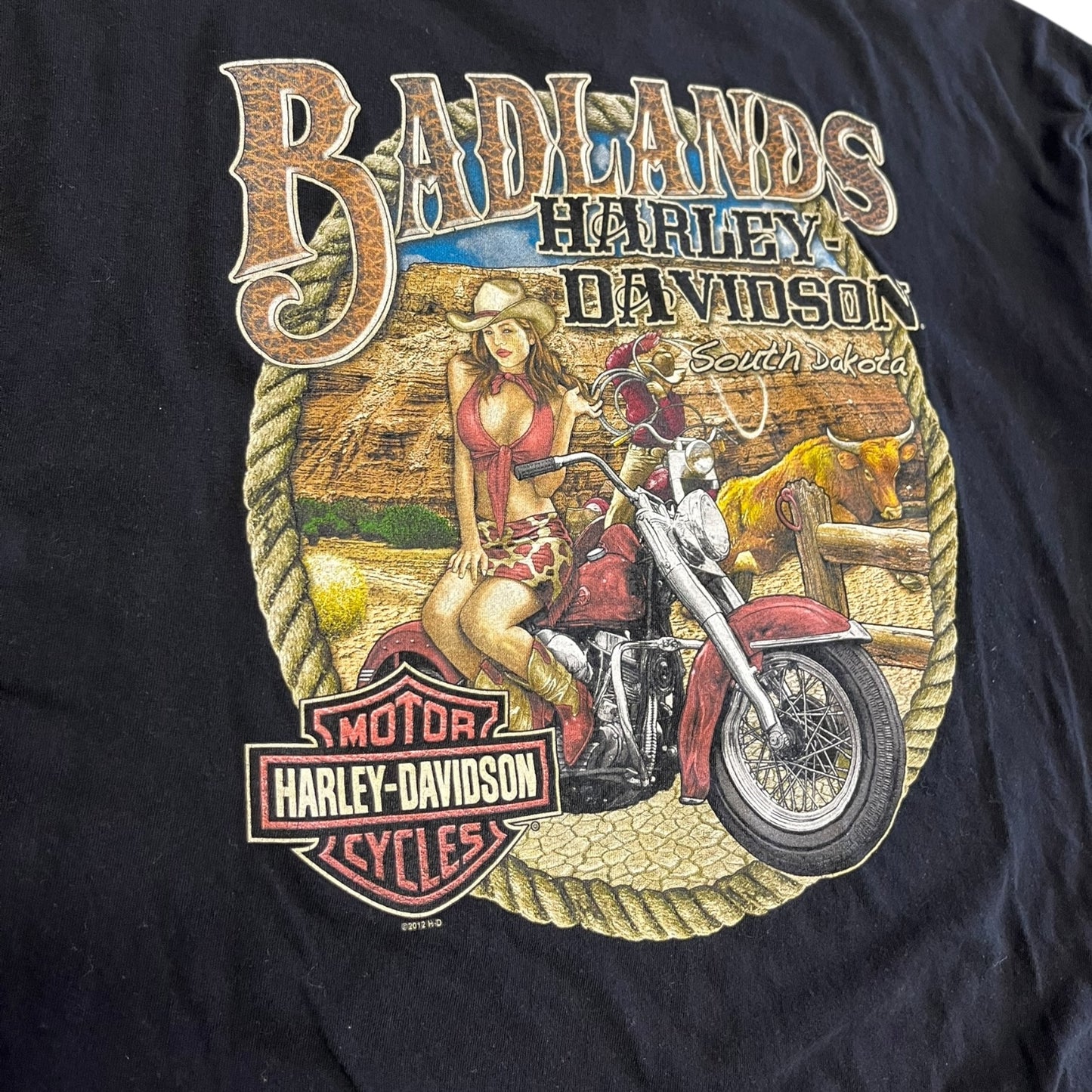 Y2K Bad Lands Harley Davidson South Dakota Tee