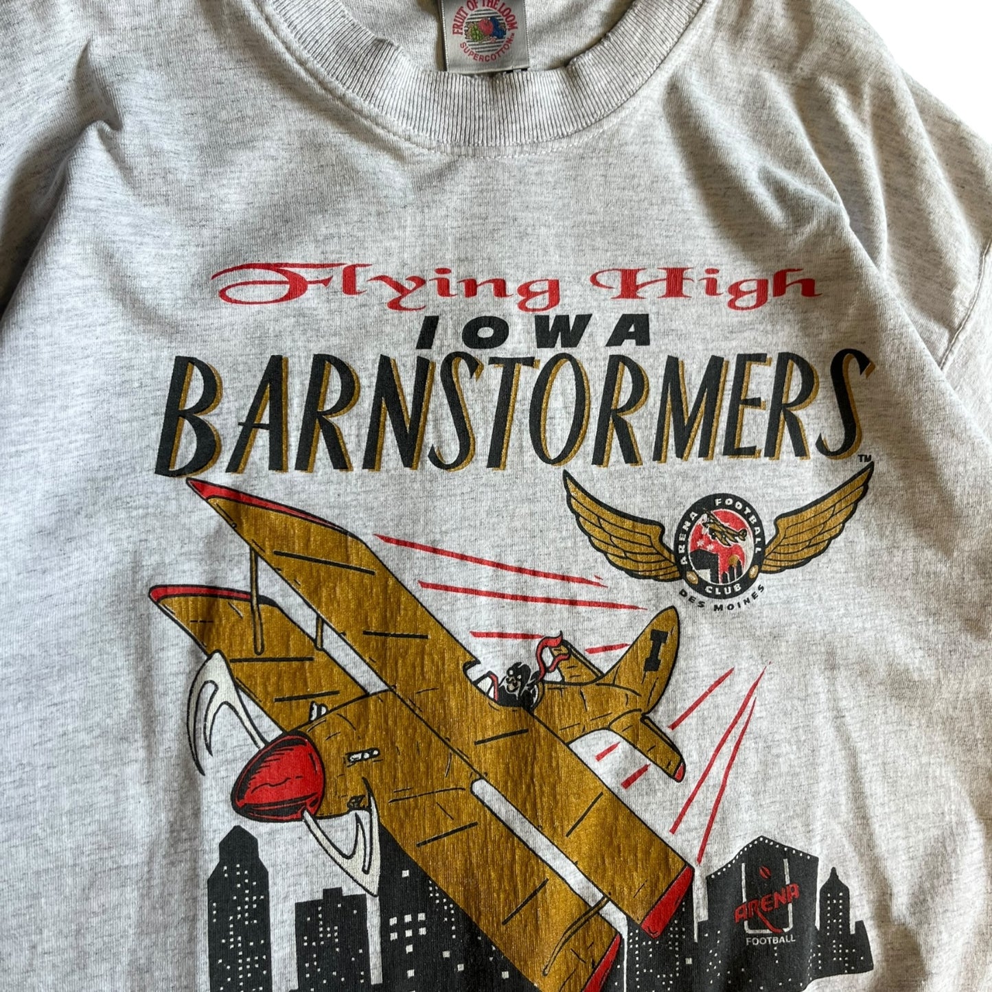 Vintage Iowa Barnstormers Flying High Graphic Tee