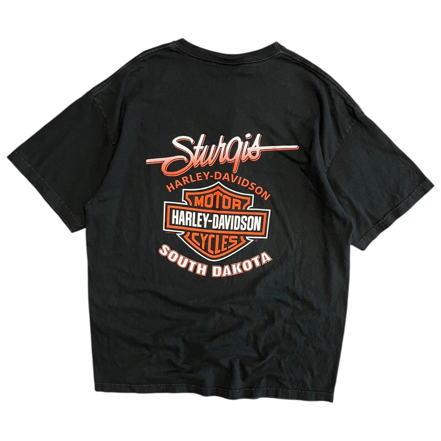 Y2K Harley Davidson “Bad As You Wanna Be” Strugis Tee