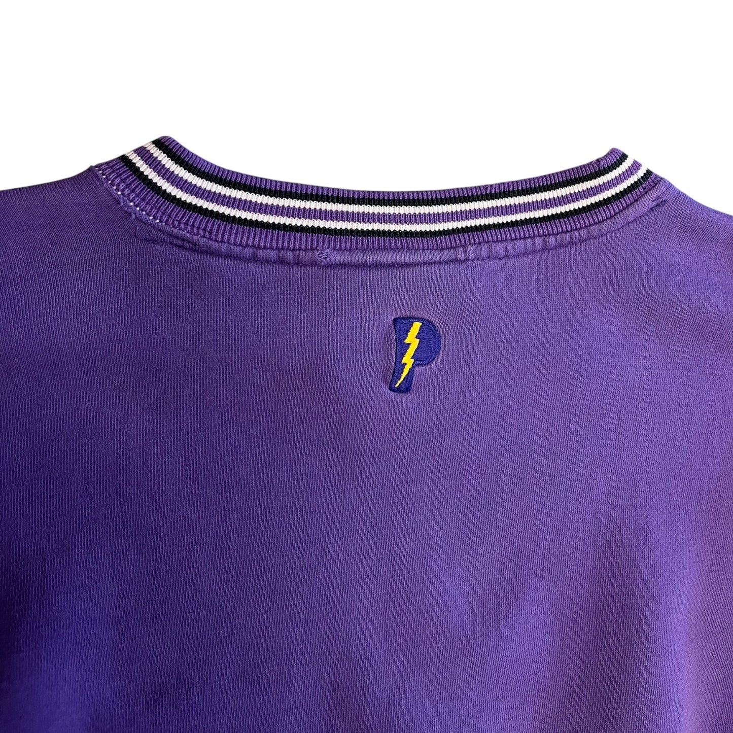 Vintage Pro Player Vikings Embroidered Sweatshirt
