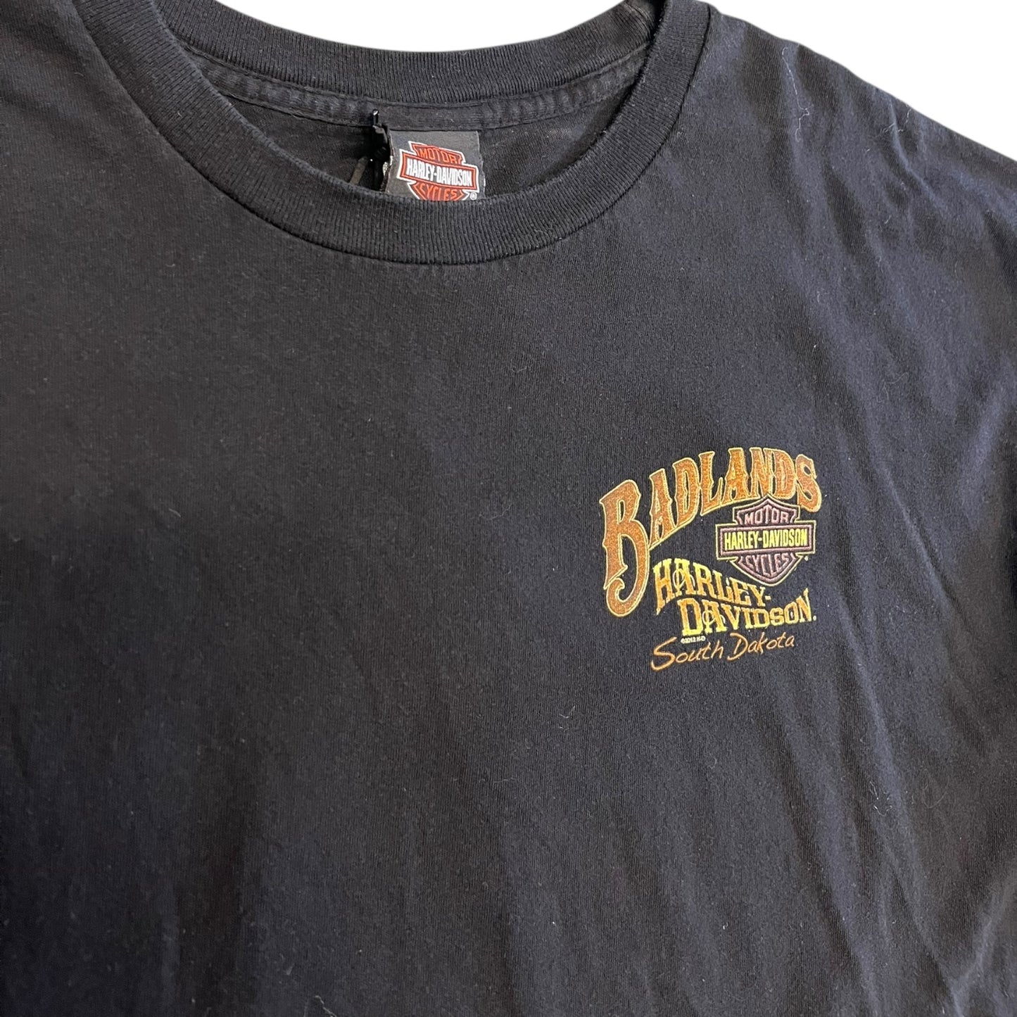 Y2K Bad Lands Harley Davidson South Dakota Tee