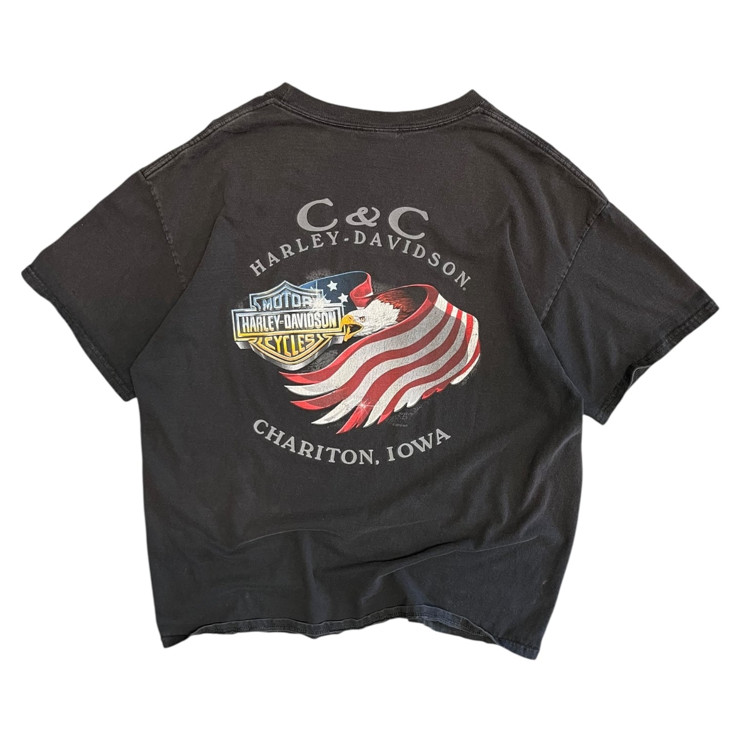 Y2K Harley Davidson Wild & Free Eagle Tee