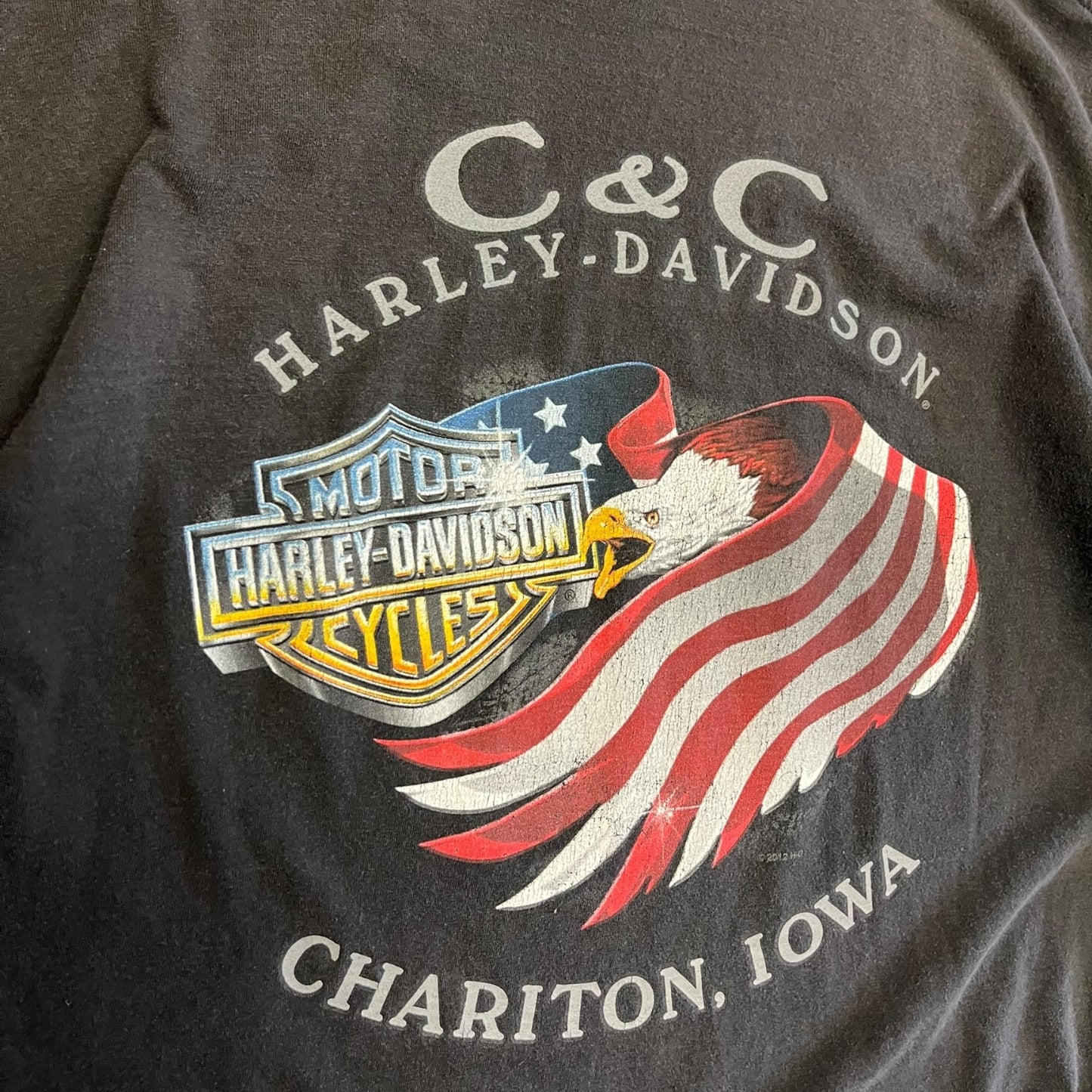 Y2K Harley Davidson Wild & Free Eagle Tee