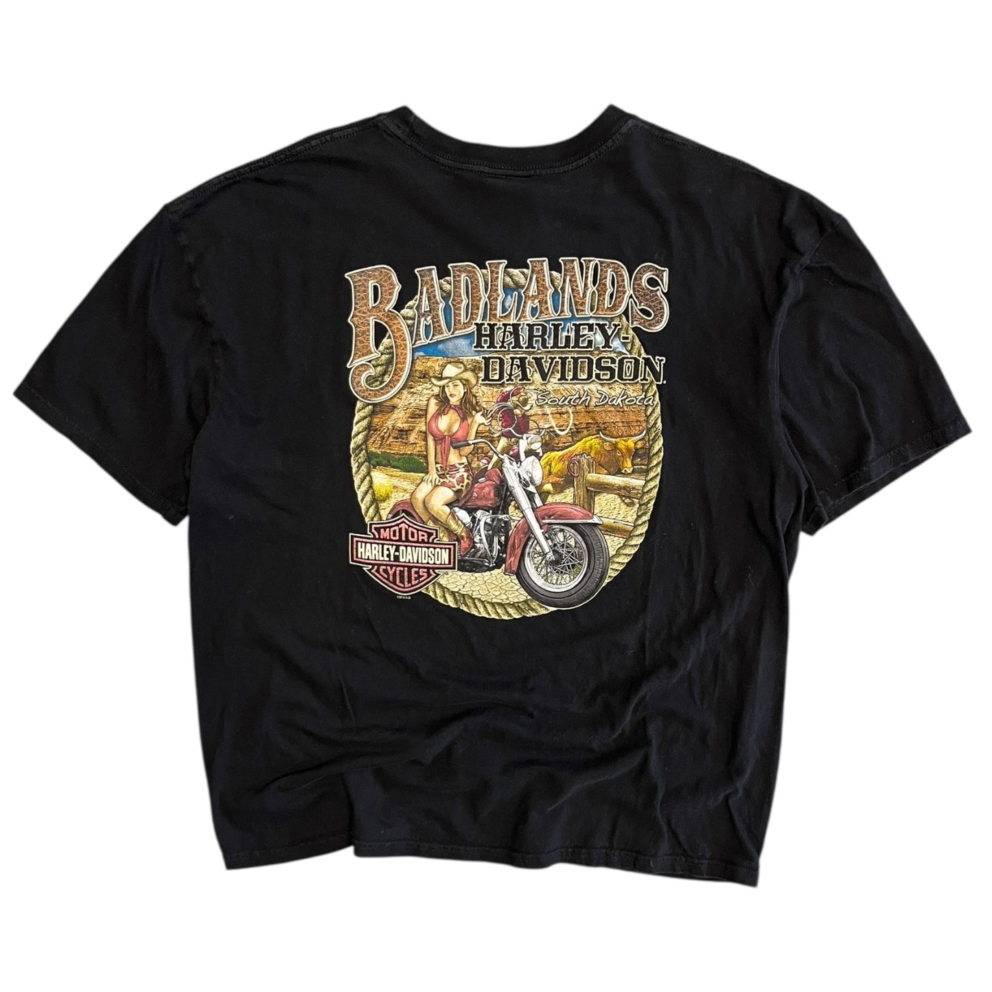 Y2K Bad Lands Harley Davidson South Dakota Tee