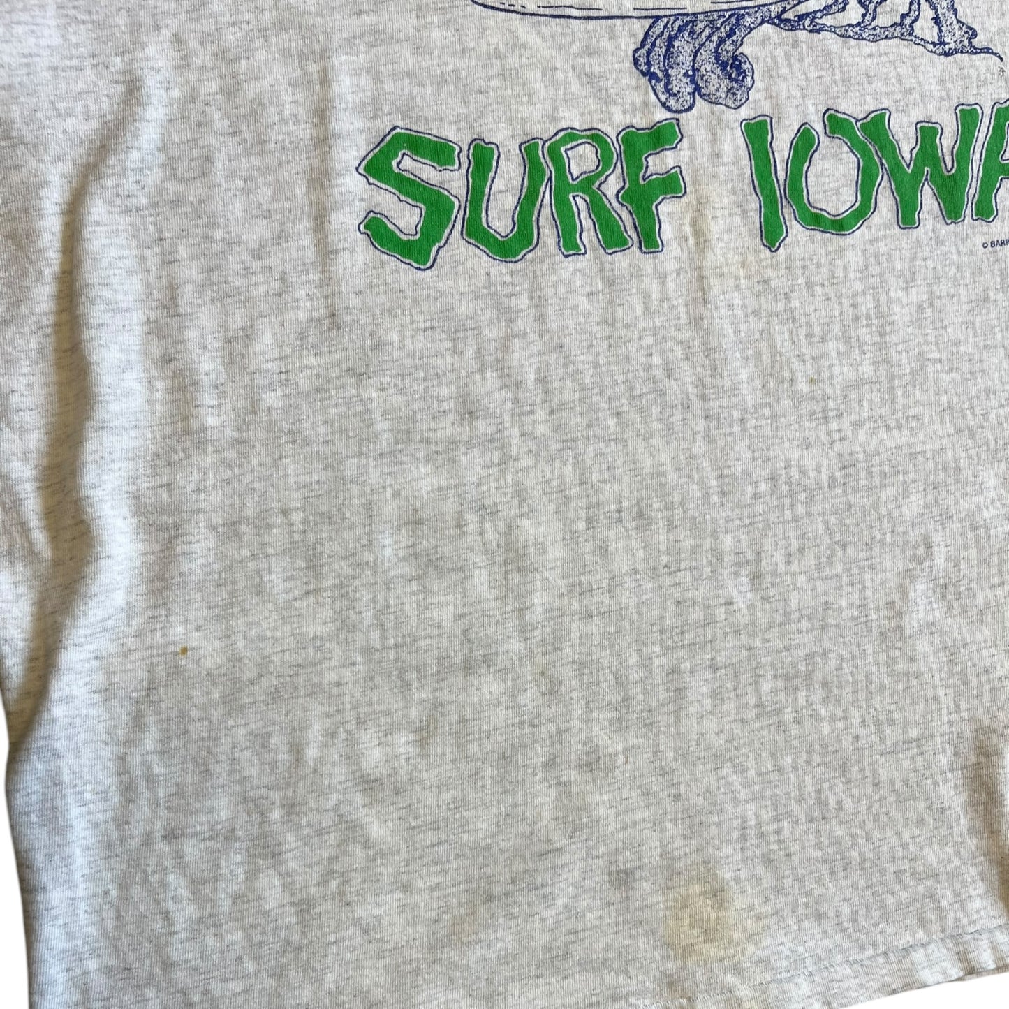 Vintage Distressed Surf Iowa Pig T Shirt