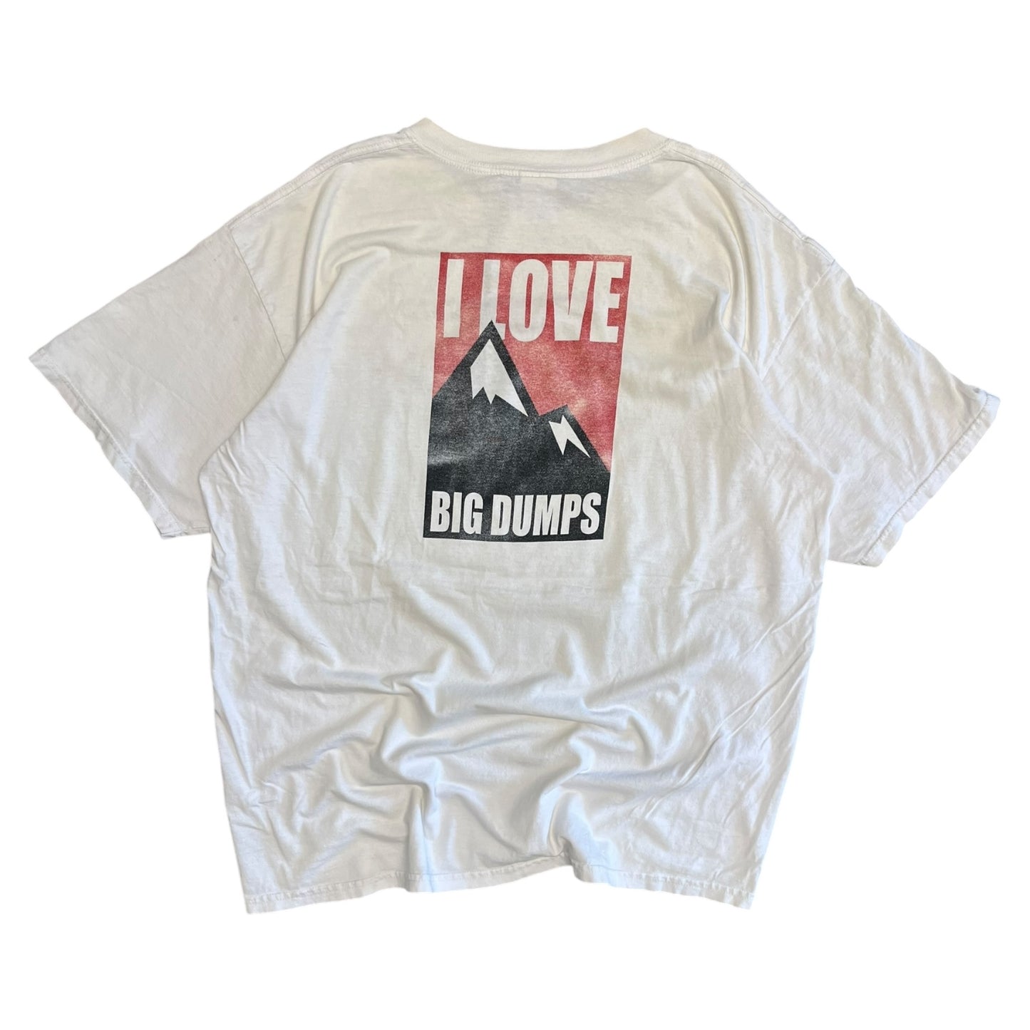 Y2K I Love Dumps Tee