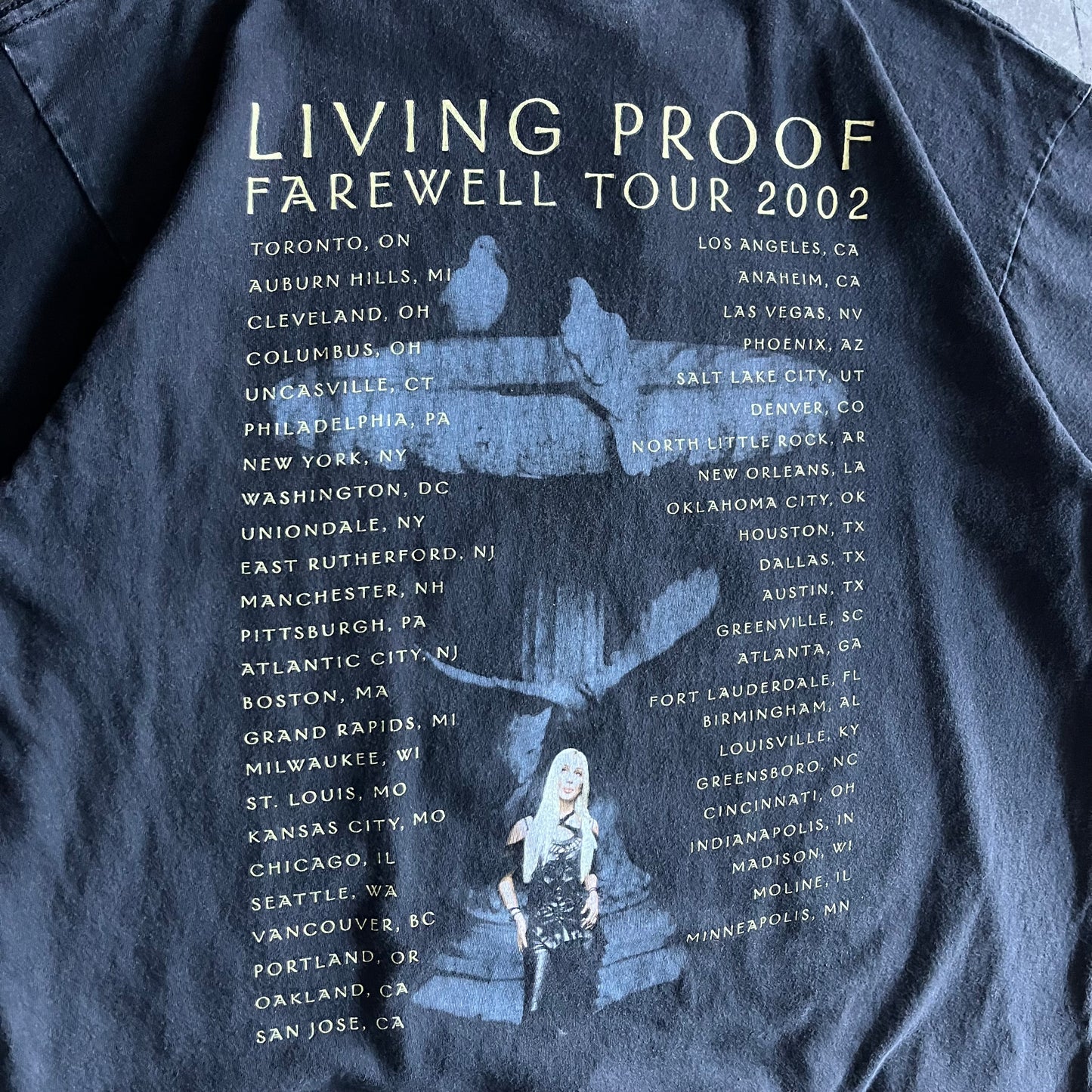 Y2K 2004 Cher Farewell Tour Tee