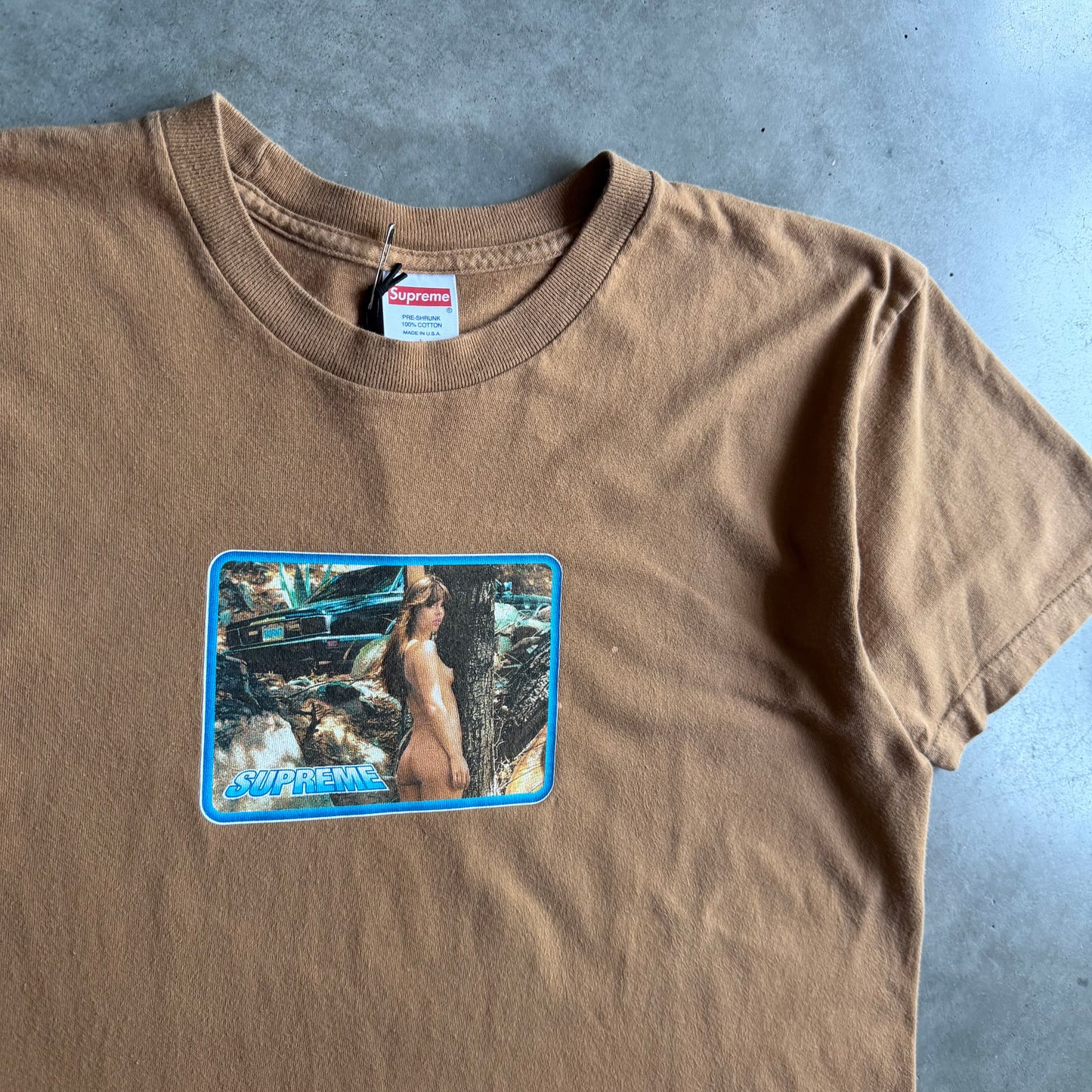 Supreme SS17 ‘Larry Clark Girl’ T Shirt Mocha Brown