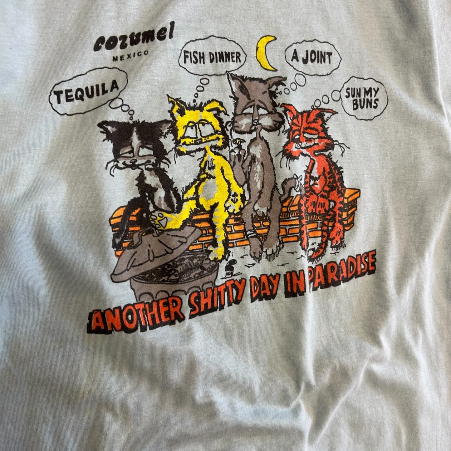 Vintage Another Shitty Day In Paradise Tee