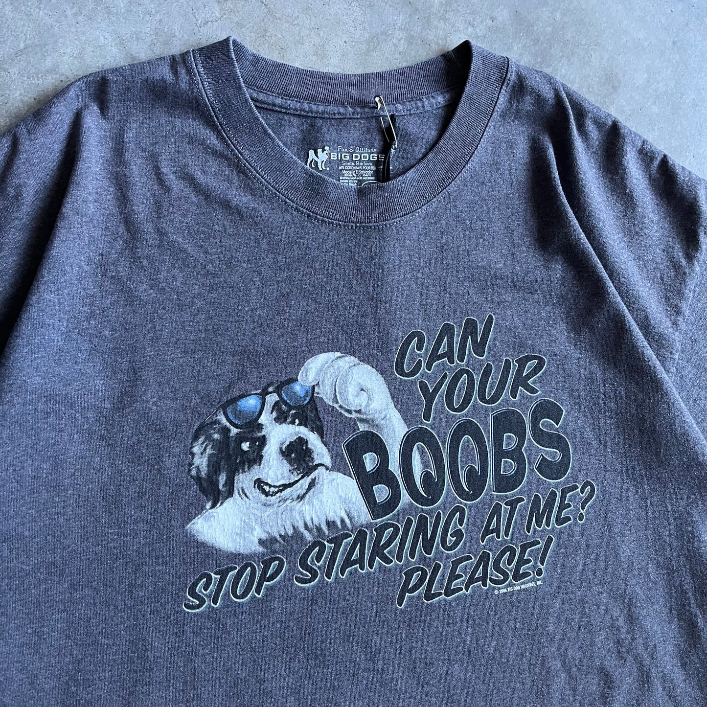 Y2K Big Dogs Can Your Boobs Stop Staring At Me Please Tee