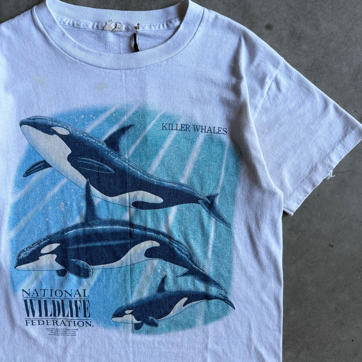 Y2K NWF Big Killer Whale Pack Graphic Tee