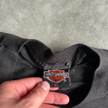 Vintage 3D Emblem Harley Davidson Galaxy Panther Flame Back T Shirt