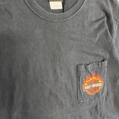 Y2K Harley Davidson Flame Emblem Pocket Tee Zylstra