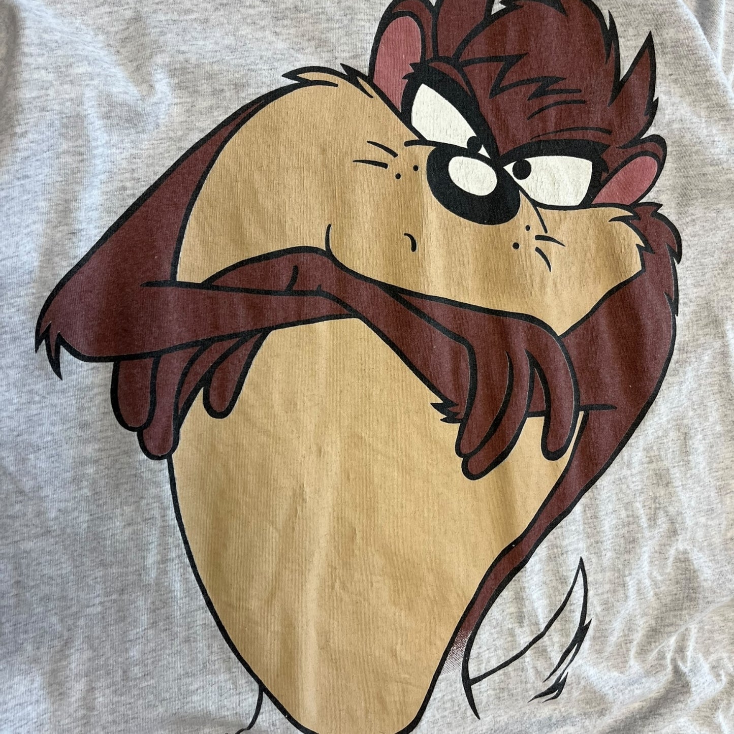 Vintage Big Taz Tee