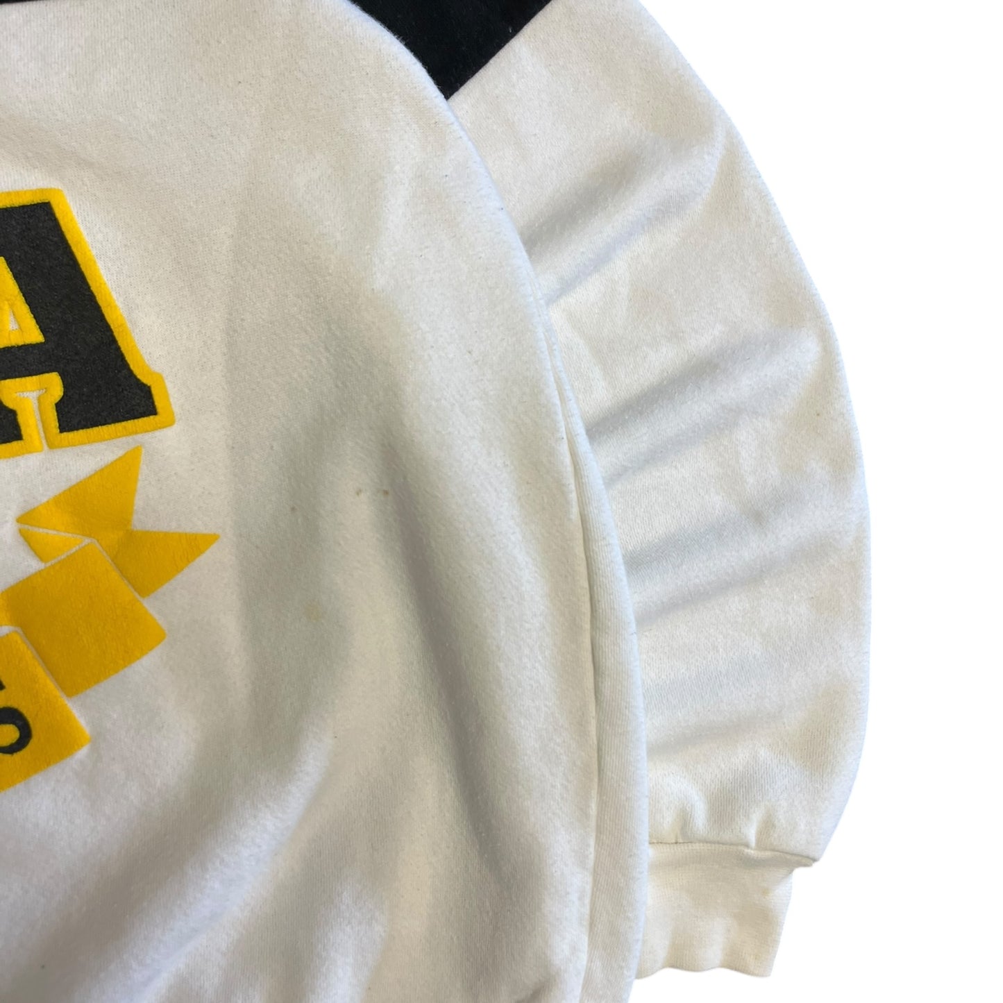 Vintage Two Tone University Of Iowa Sweatshirt