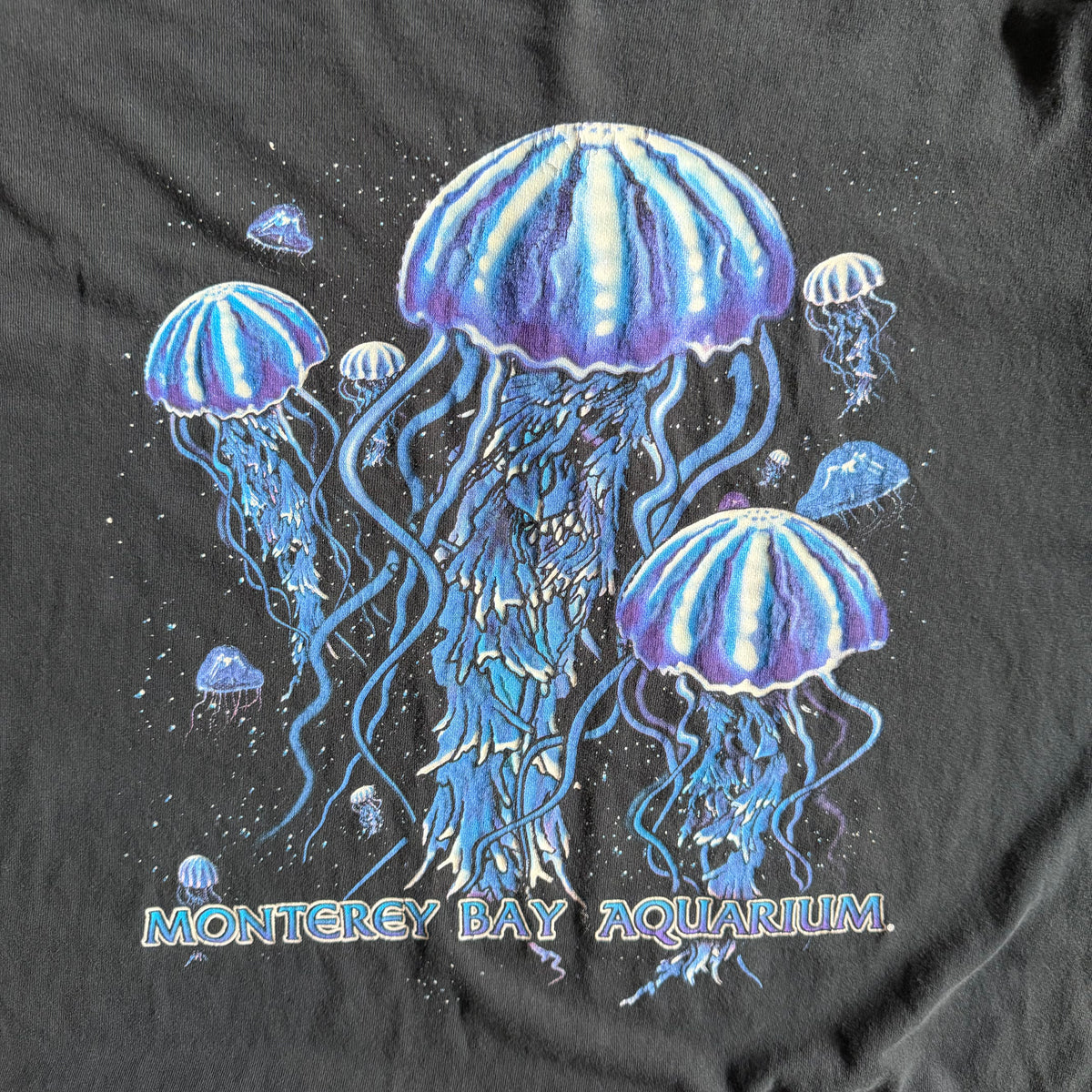 Vintage Monterey Bay Aquarium Jellyfish Tee