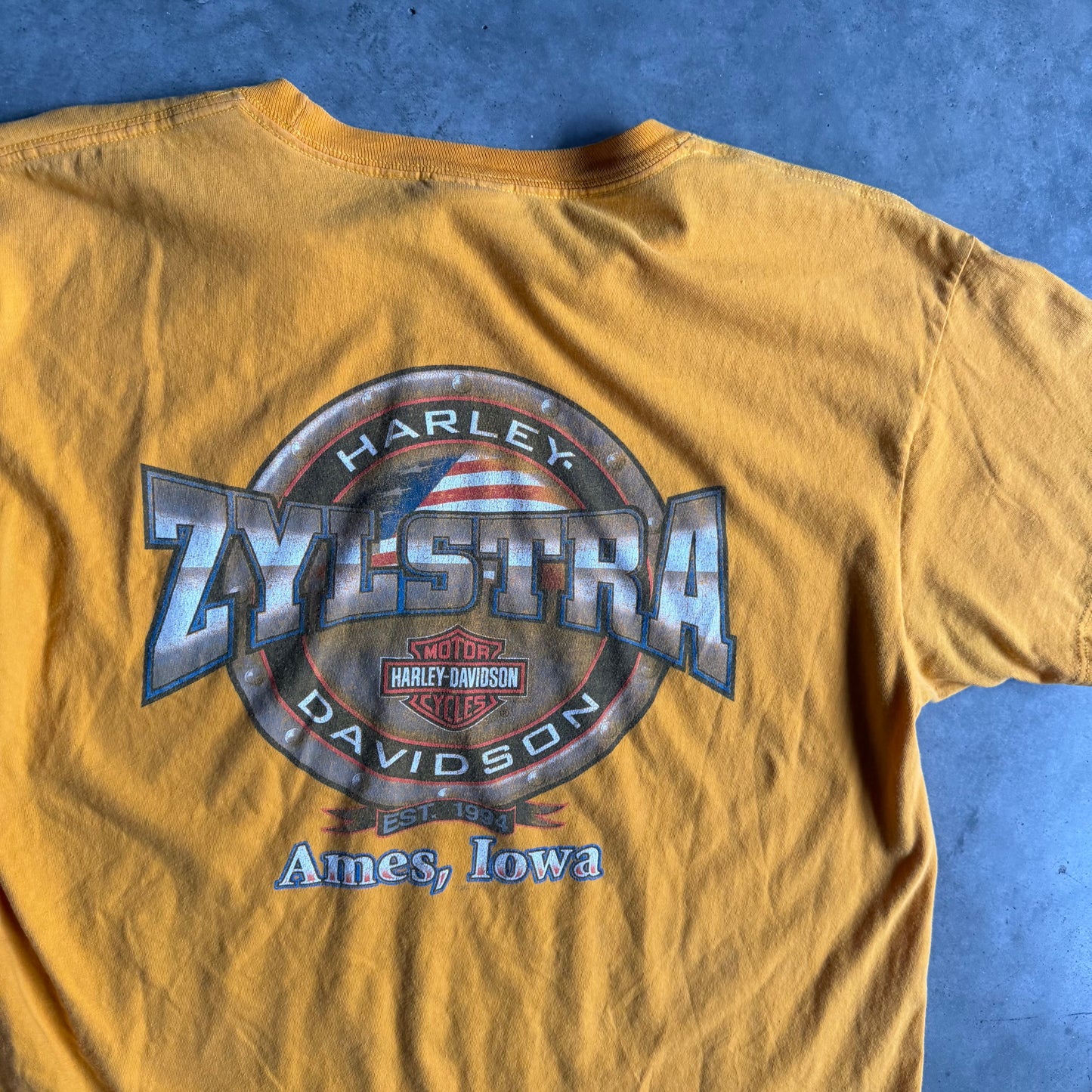 Y2K Zylstra Harley Davidson “Pick A Direction” Yellow Tee