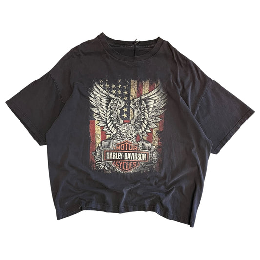 Y2K Harley Davidson Flag Eagle Tee