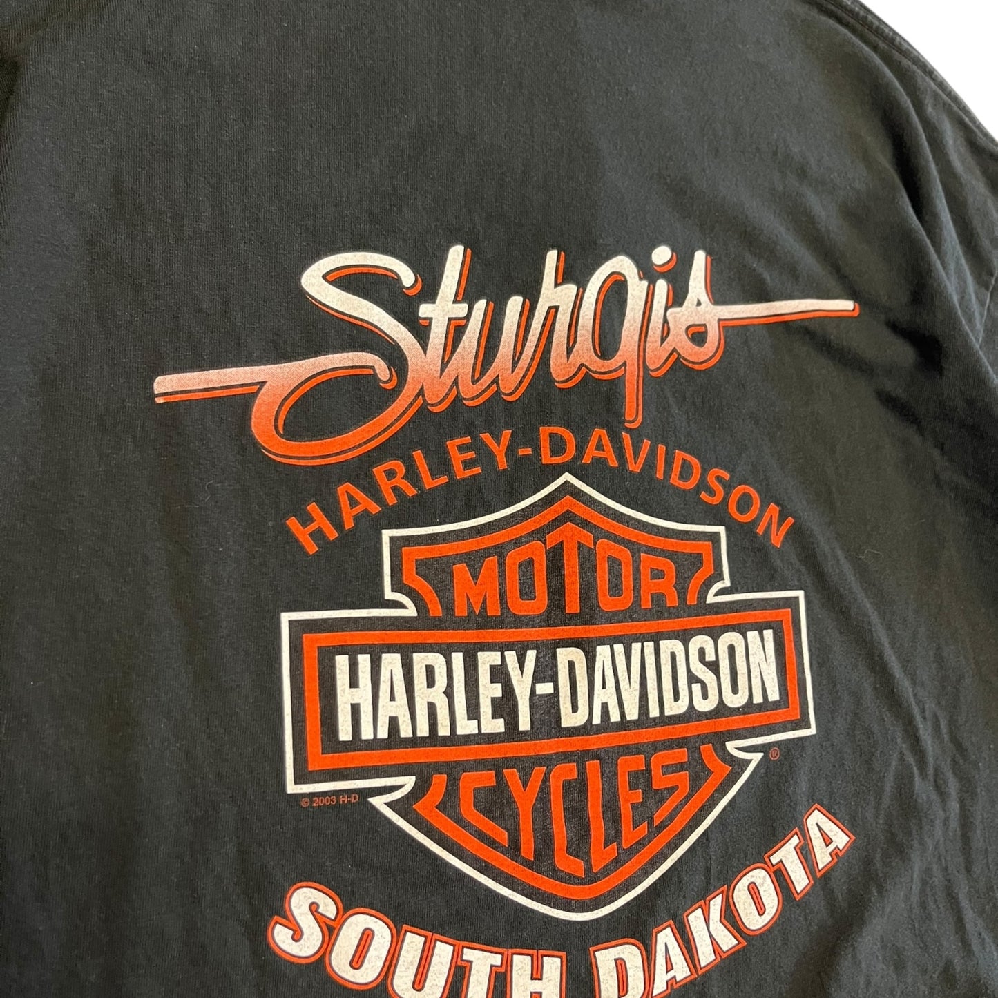 Y2K Harley Davidson “Bad As You Wanna Be” Strugis Tee