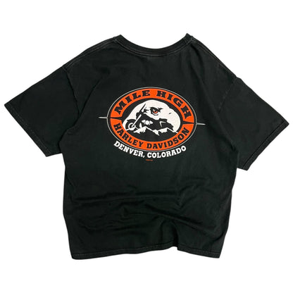 Y2K Harley Davidson Flame Eagle Colorado Tee