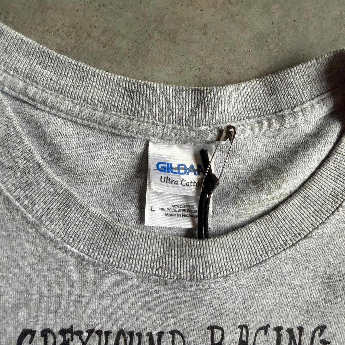 Y2K Iowa Greyhound Racing Gray Tee