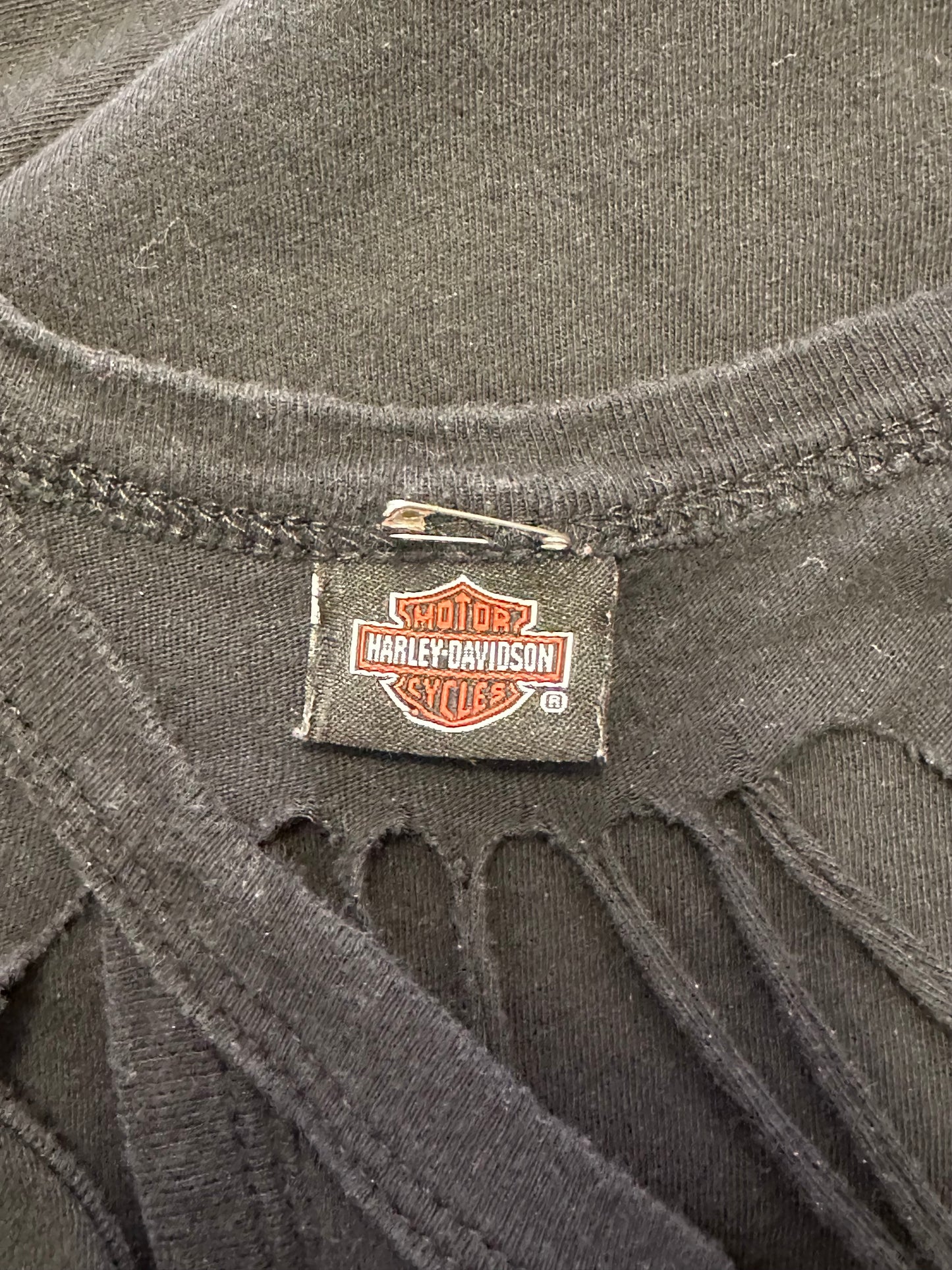 Women’s Harley Davidson Distressed Flame Tank