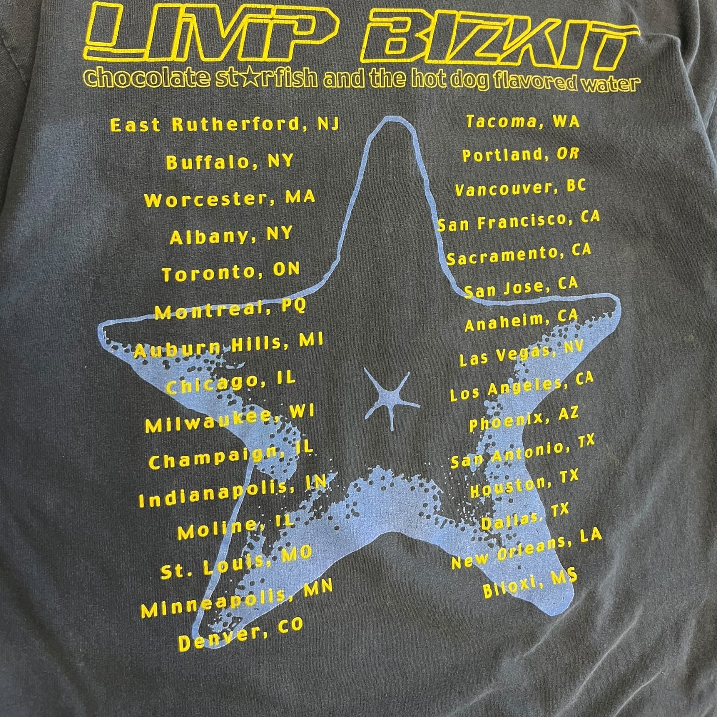 Vintage Limp Bizkit Chocolate Starfish Tour Tee