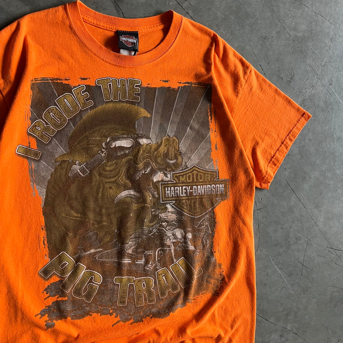 Y2K Harley Davidson “I Rode The Pig Trail” Tee