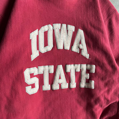 Vintage Champion Reverse Weave Iowa State Spellout Red