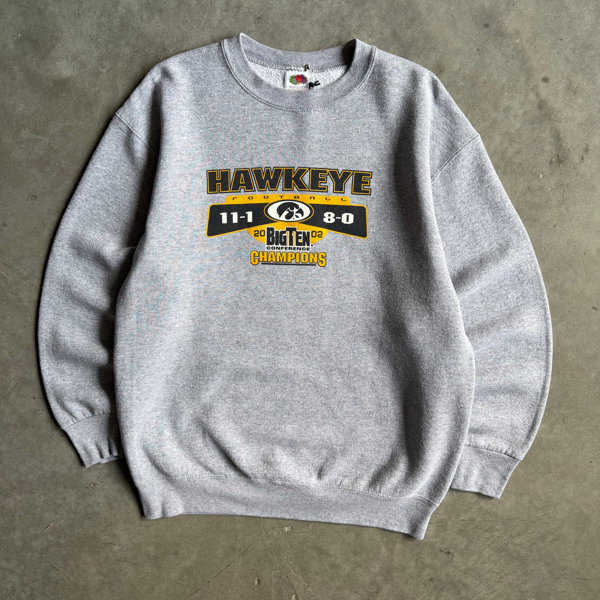 Vintage ‘02 Iowa Hawkeyes Big 10 Champions Sweatshirt