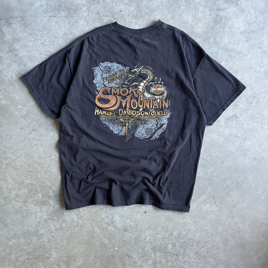 Y2K Harley Davidson Route 129 “I Rode The Dragon” Tee