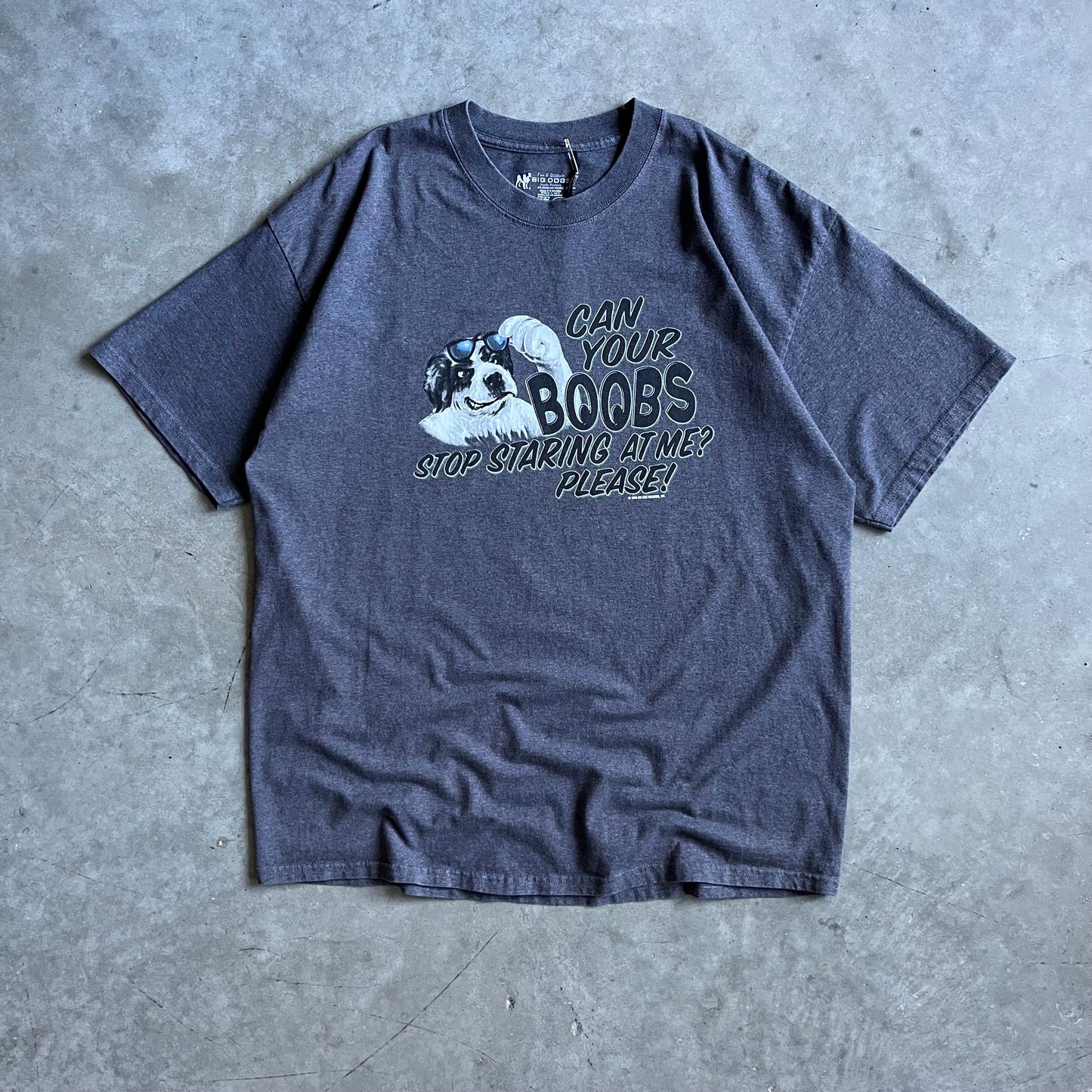 Y2K Big Dogs Can Your Boobs Stop Staring At Me Please Tee