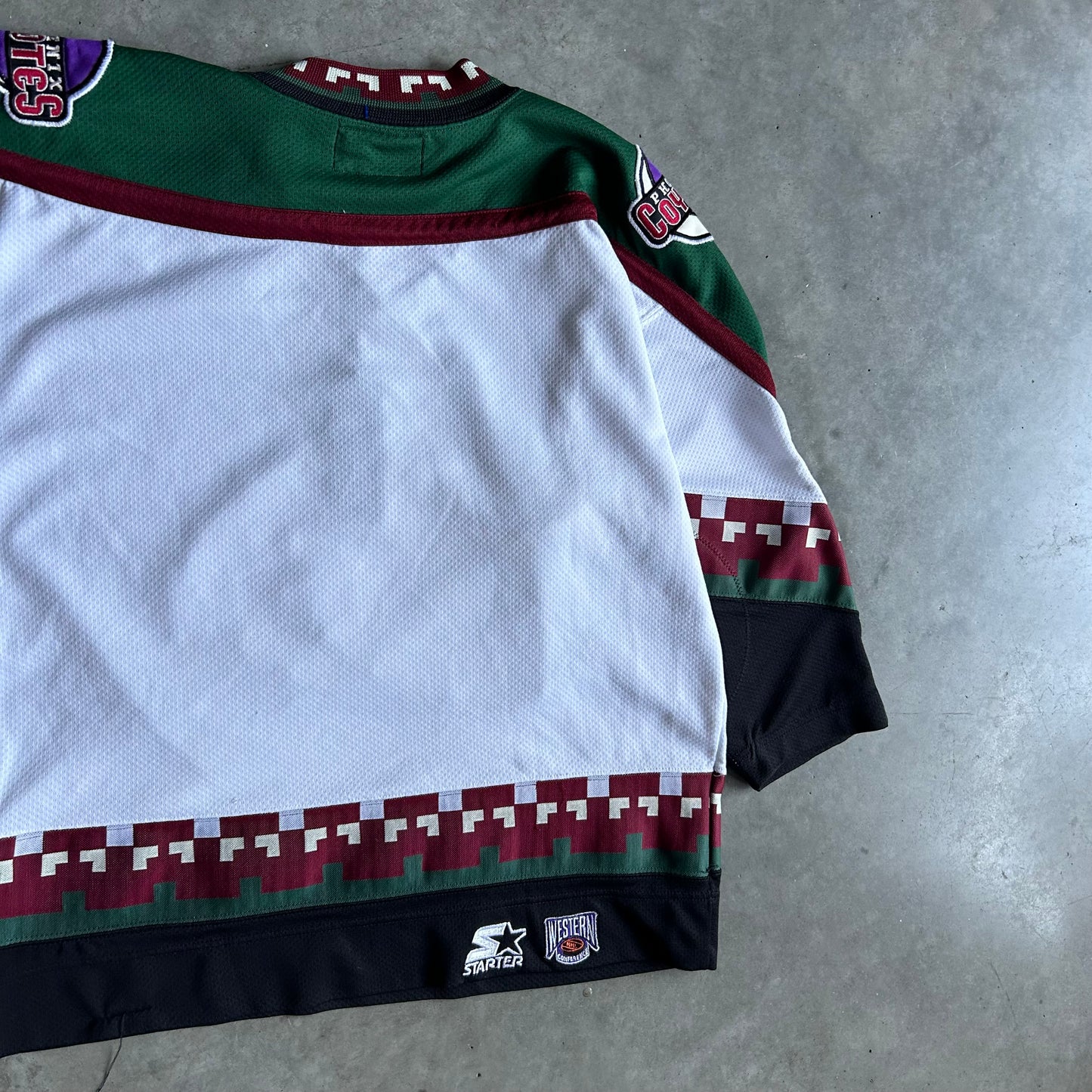 Y2K Starter Phoenix Coyotes Kachina NHL Hockey Jersey