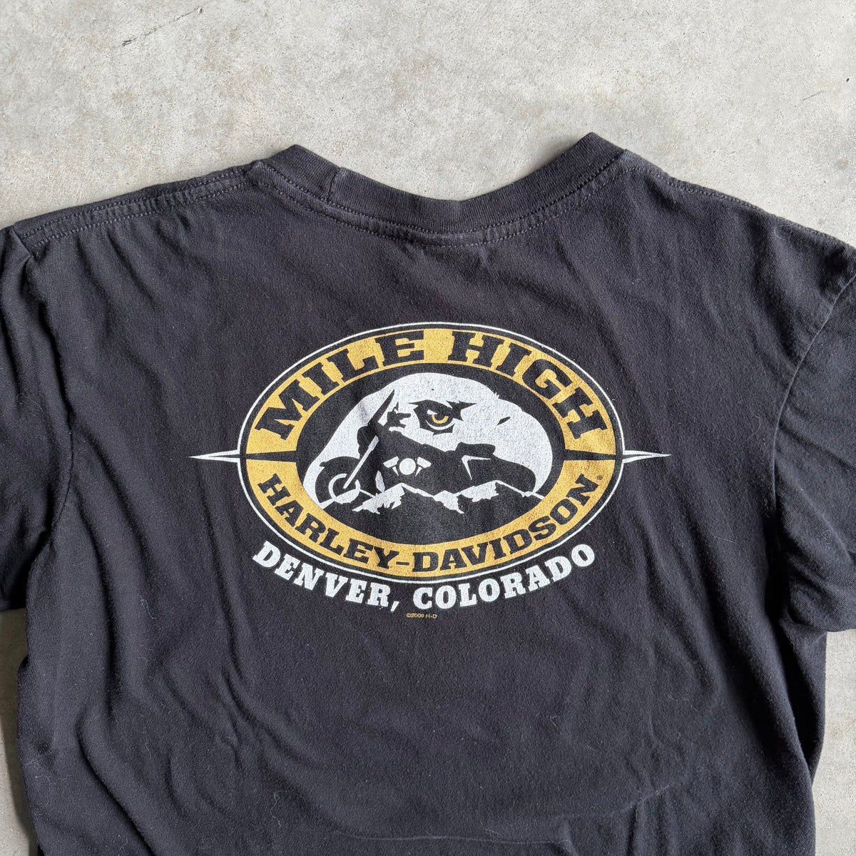 Y2K Harley Davidson “Forever Free” Chained Eagle Tee