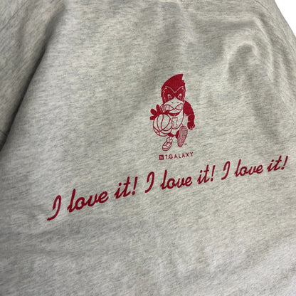 Vintage ‘93 ISU Big 4 State Champs Tee