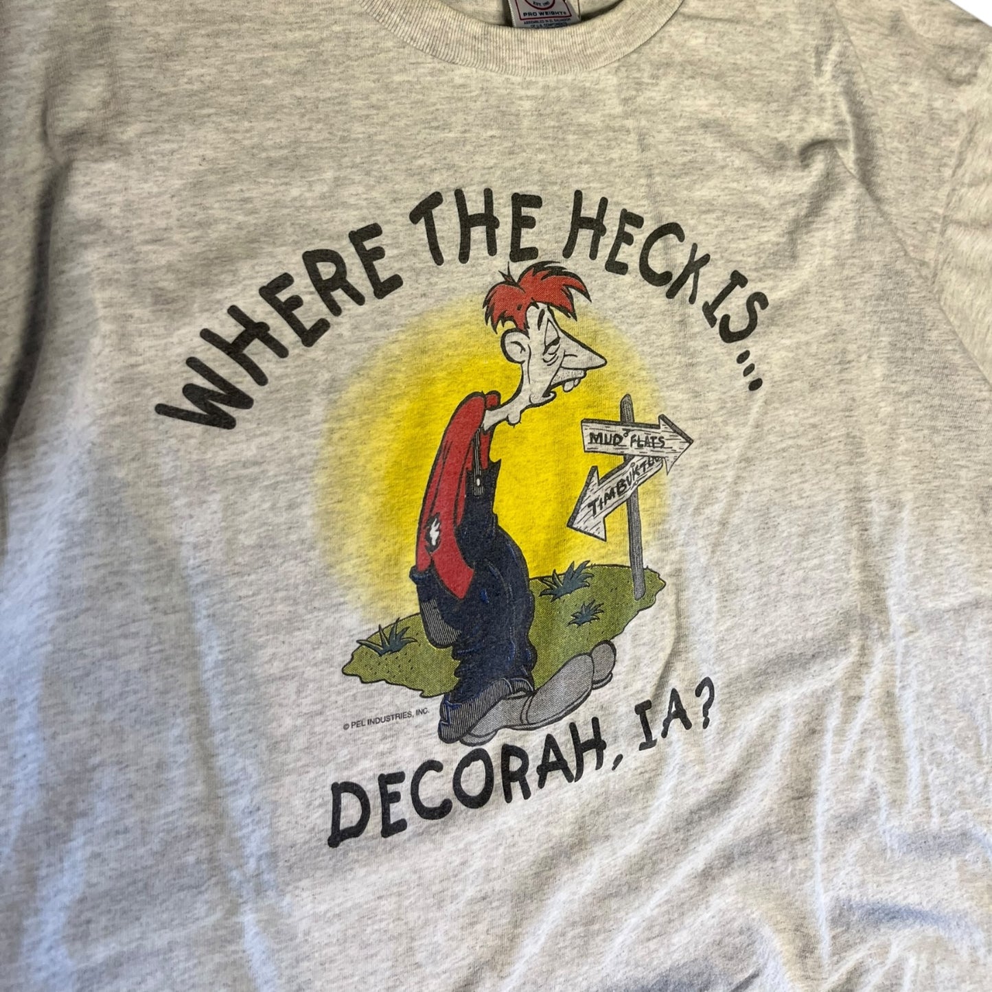 Y2K "Where the Heck Is Decorah, IA?" Graphic Tee