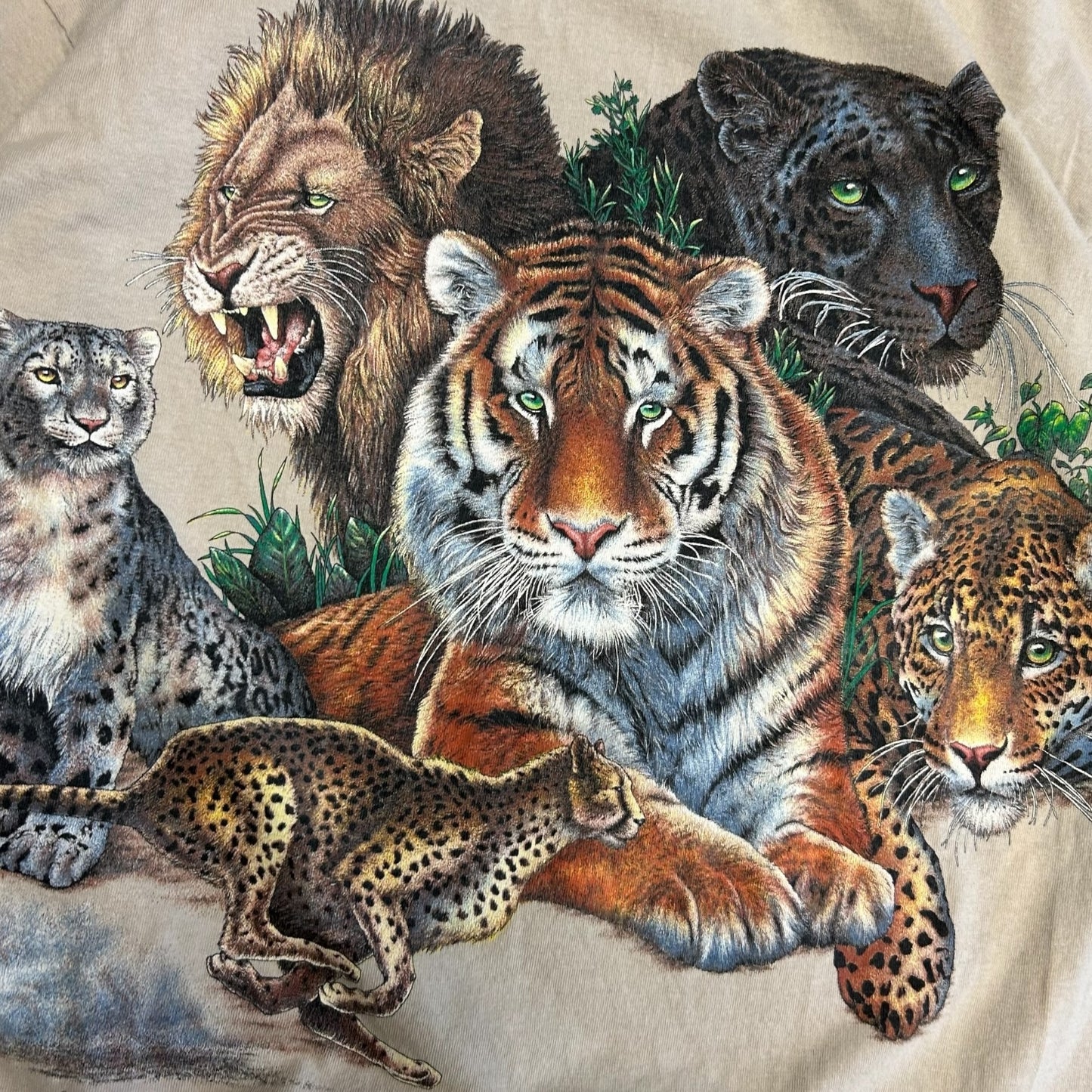 Y2K Habitat Big Cats Tee