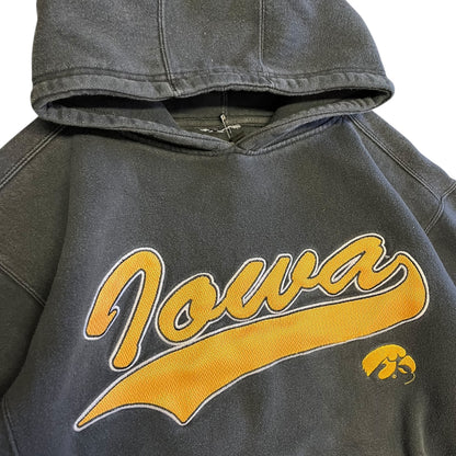 Y2K Iowa Logo Script Hoodie