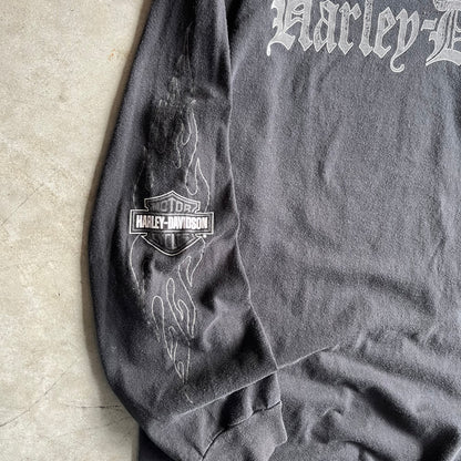 Y2K Harley Davidson Silver Spellout Flame Sleeve Longsleeve