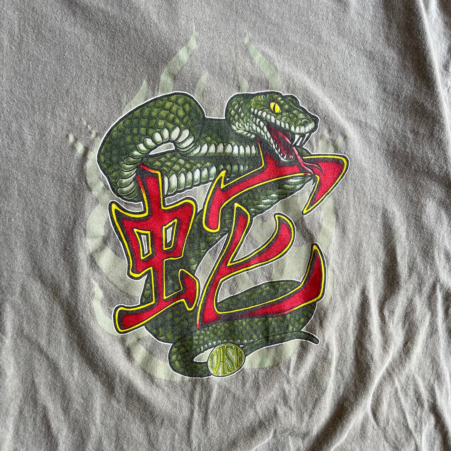 Y2K Nash Skateboards Snake Kanji Tee