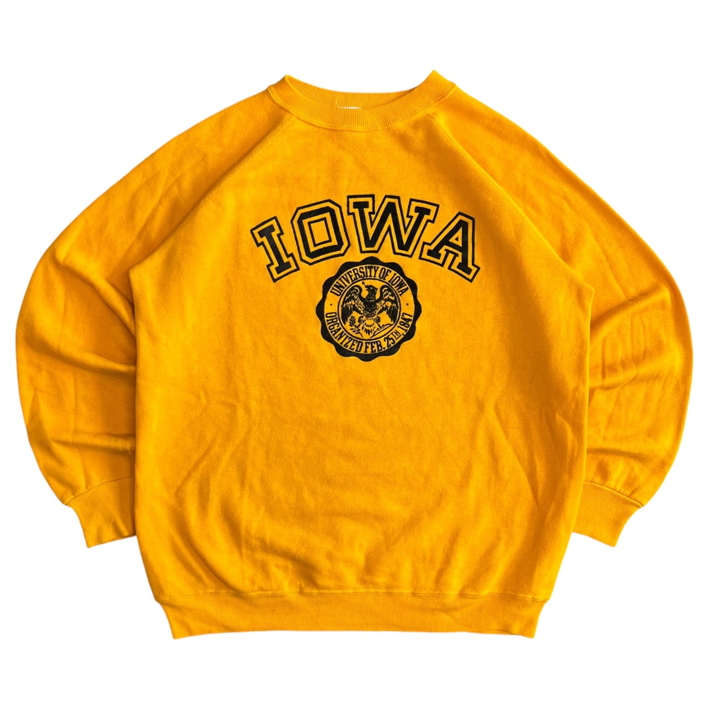 Vintage 80s Iowa Hawkeyes Flocked Crest Crewneck