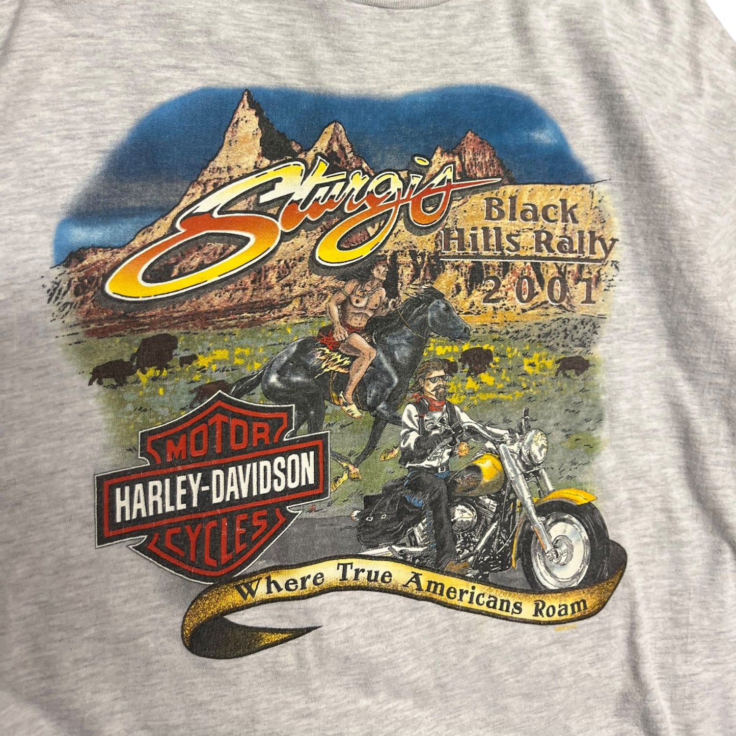 Y2K ‘01 Sturgis Bike Rally Graphic Tee