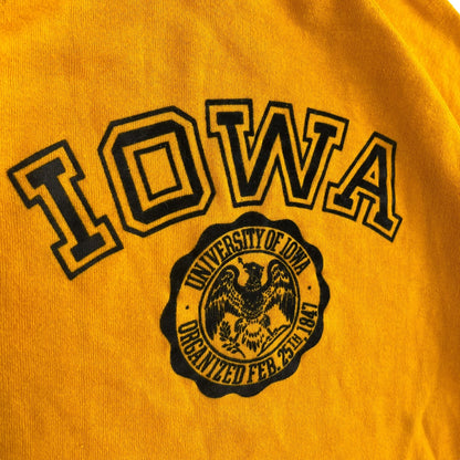 Vintage 80s Iowa Hawkeyes Flocked Crest Crewneck