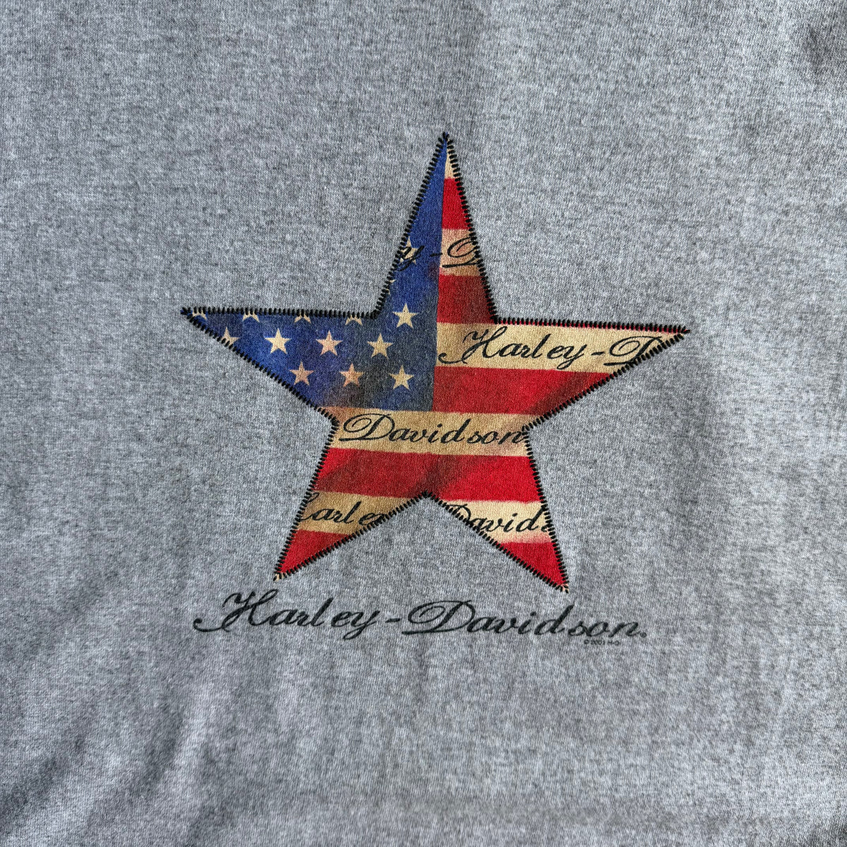Y2K Harley Davidson US Flag Star Tee