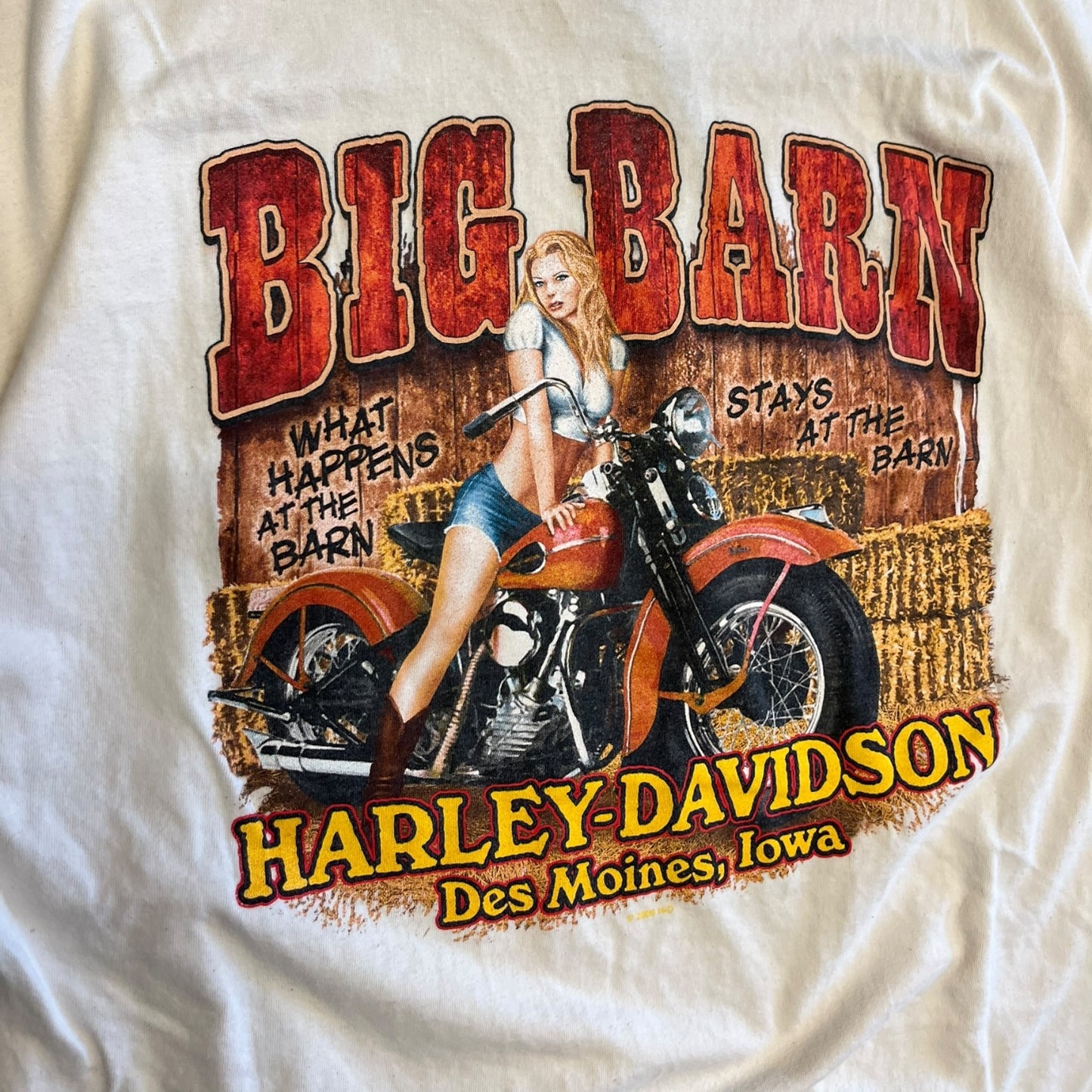 Y2K Harley Davidson “Ride Free” Bones & Wings Tee