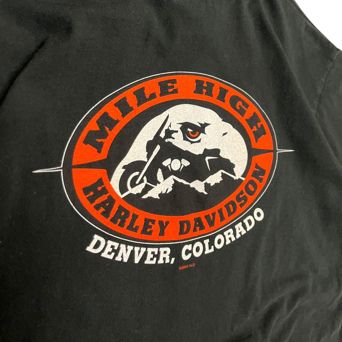 Y2K Harley Davidson Flame Eagle Colorado Tee